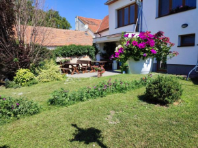 Apartmá u Kytišky, s velkou zahradou